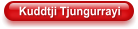 Kuddtji Tjungurrayi